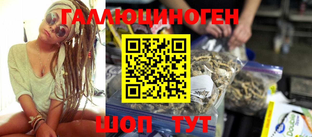Псилоцибиновые грибы Psilocybine cubensis Нижний Новгород